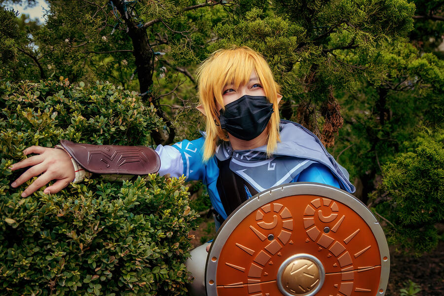 BOTW Link by ig@kna.artistry_photography BOTW Link by ig@kna.artistry_photography