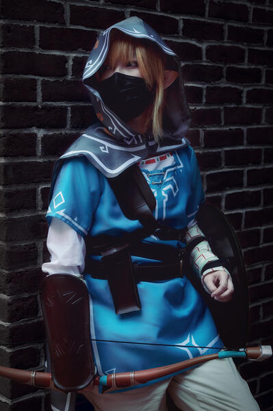 BOTW Link by ig@kna.artistry_photography BOTW Link by ig@kna.artistry_photography